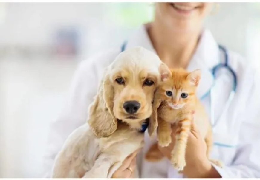 Recht op verlof voor zieke huisdieren in Italië