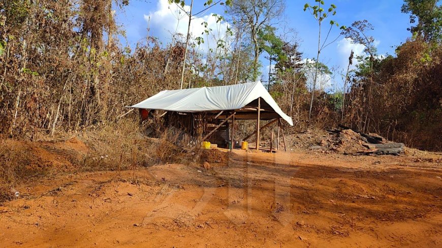 Beroving goudkamp Maripastong: schoten, mishandeling en roof