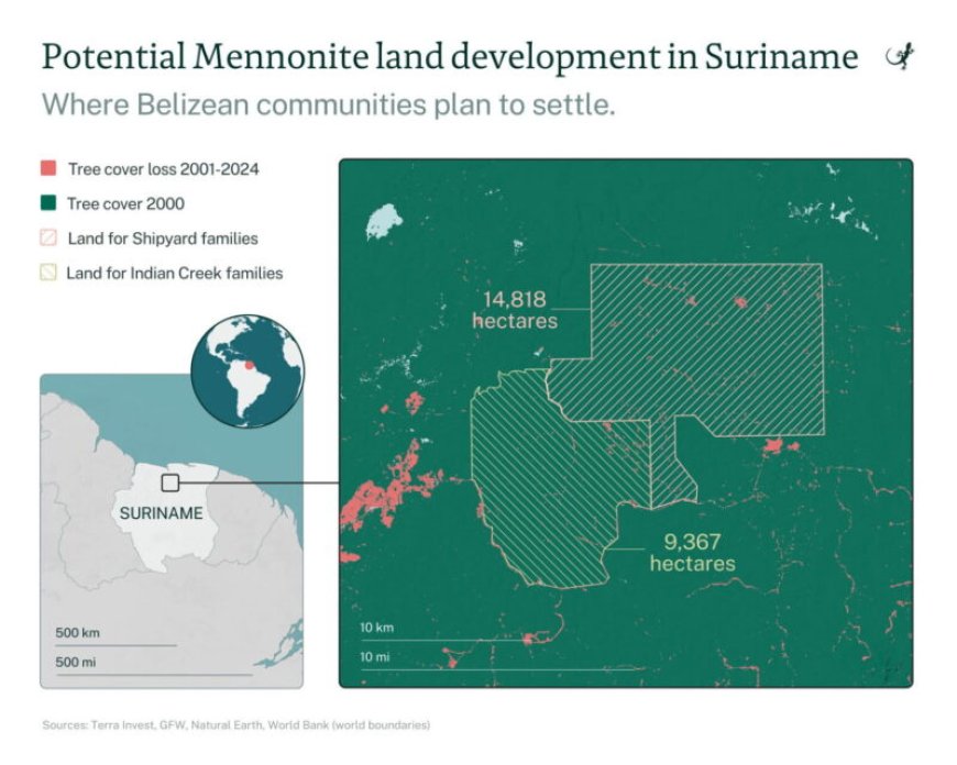 Mennonieten uit Belize plannen vestiging in Suriname