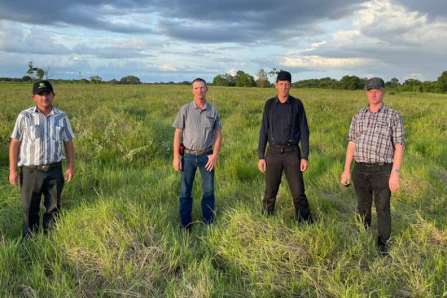 Mennonieten uit Belize willen grootschalige landbouwgemeenschap opzetten in Suriname