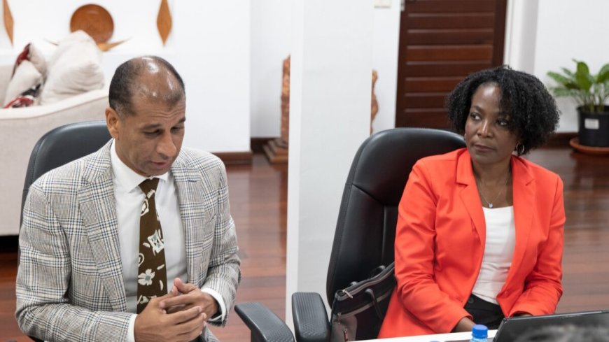 Overheid wil strengere regulering JinChan in goudmijnbouw