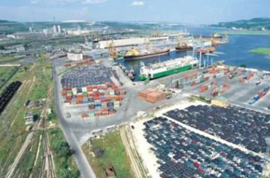 10 kilo cocaïne uit Suriname onderschept in Bulgaarse haven