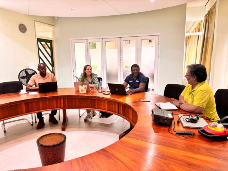 Toename chikungunya noopt Rode Kruis Suriname tot hulpactie