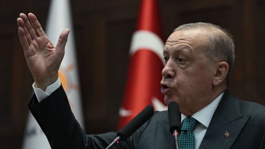 Cel voor oud-oppositieleider Turkije om belediging president Erdogan