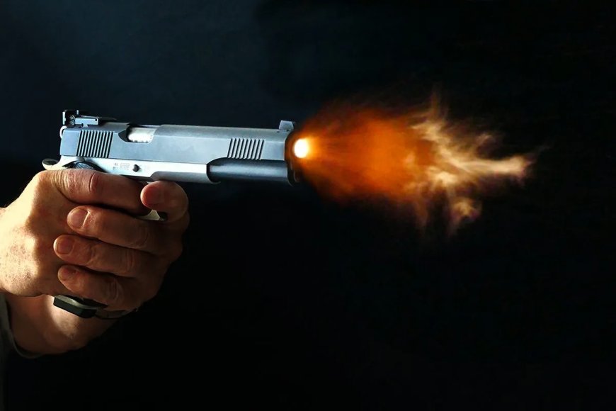 Kogels in het bos, stilte in de stad