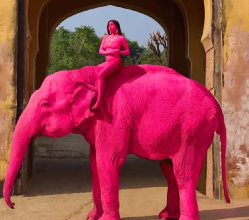 Olifant in India roze geverfd voor fotoshoot en sterft enkele maanden later 