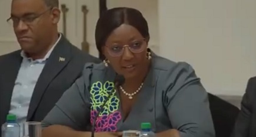 Hervorming nodig na inzet van partijloyalisten op SOZAVO zegt minister Pokie