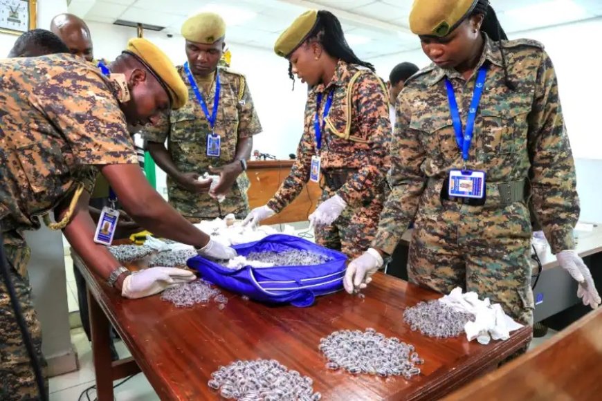 Celstraf voor Chinees na smokkel van duizenden mieren in Kenia