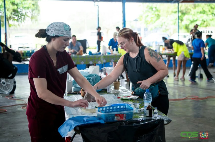 Project moet toename aantal honden en katten beperken