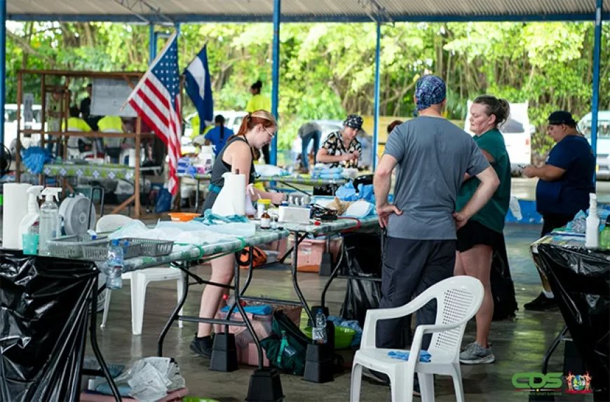 Slechts één sterilisatie- en castratieproject dit jaar door gebrek aan geld