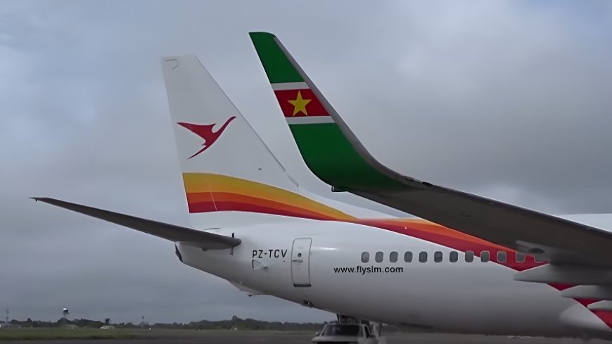 SLM klapt uit de school: “Het bedrijf doet zich anders voorkomen dan het is”