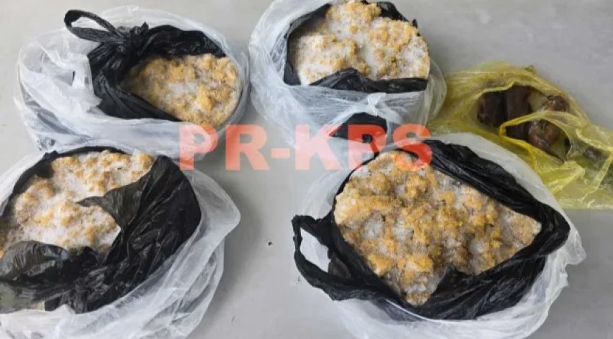 Twee verdachten te Burnside opgepakt met in hun bezit 10 kilo kwie-kwie eieren en 4 kwie-kwie