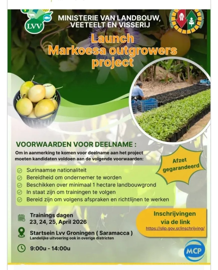 Markoesa Outgrowers Project biedt perspectief én zekerheid aan landbouwers