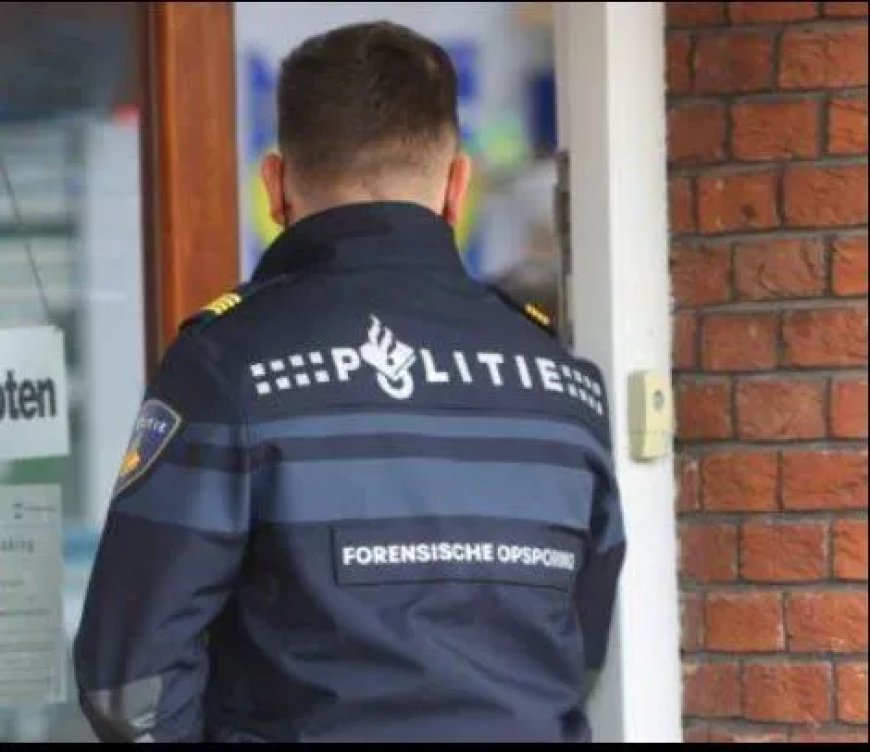 Vijftig babylichamen ontdekt op terrein