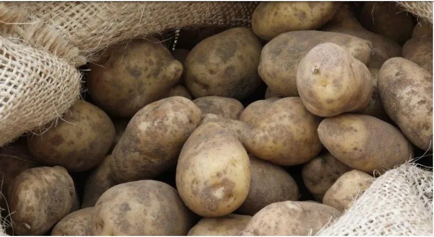 Aardappeloverschot in Nederland leidt tot nationale campagne