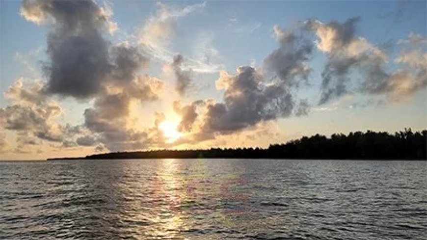 Wisselvallig weer met plaatselijke regenbuien