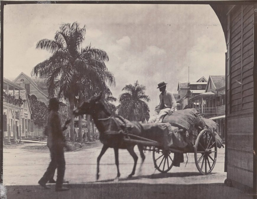 COLUMN – RIDING THE DONKEY