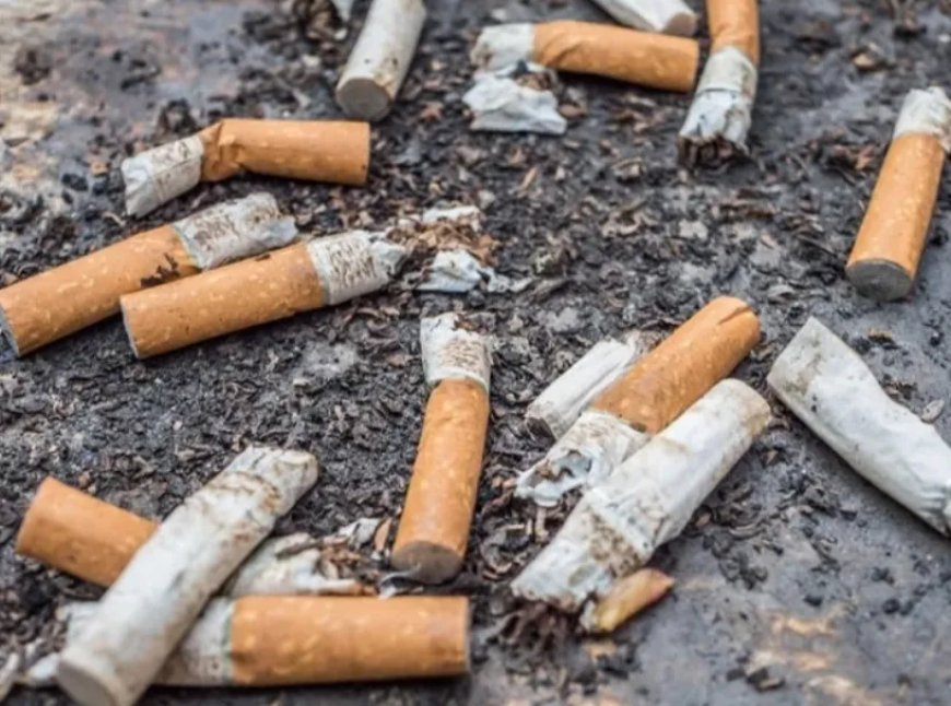 Mogelijk verbod op voor milieu schadelijke sigarettenfilters in Nederland