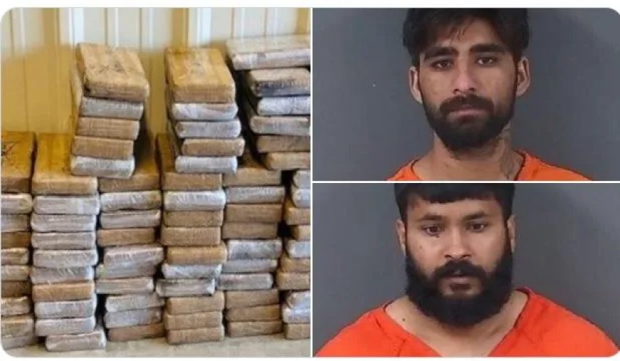 Ruim 140 kilo cocaïne ontdekt na K-9 controle