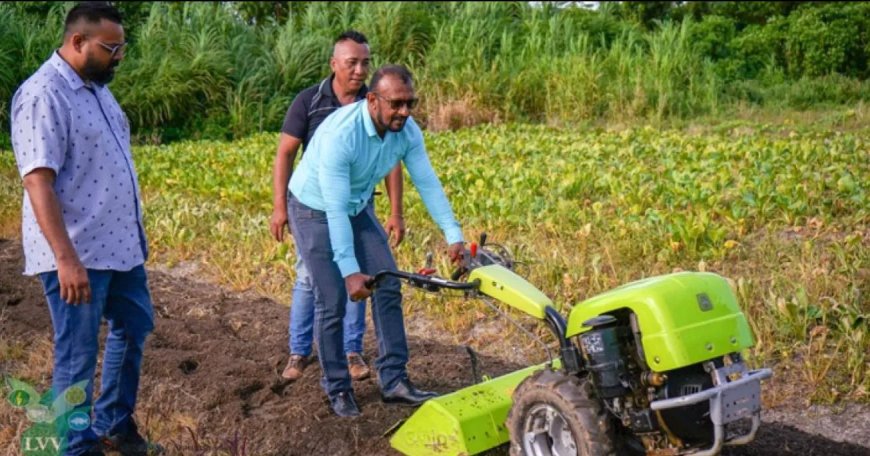 Landbouw onder druk, maar ruggengraat van Suriname