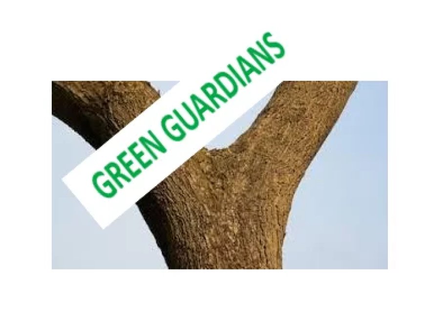 Column: Voeg de daad bij het woord: Kraka Green Guardians baka!