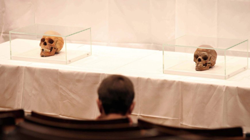 Duitse stichting wil honderden schedels uit koloniale tijd teruggeven