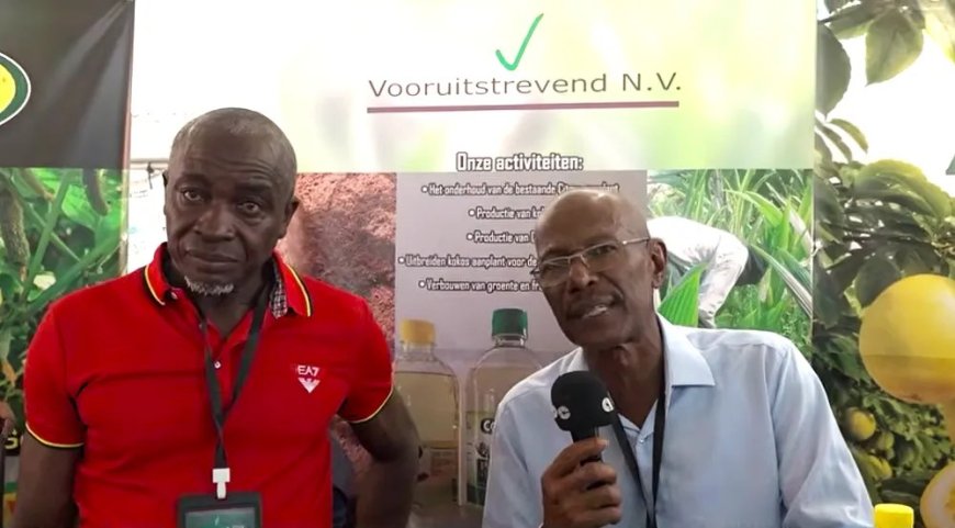 Ondernemers presenteren resultaten van het SURGE-programma