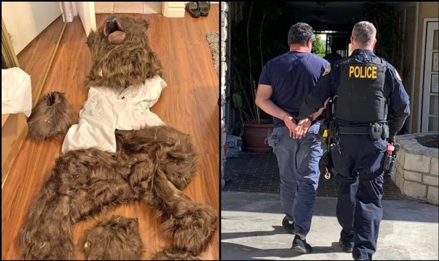 Verzekerings fraude in berenpak eindigt in cel