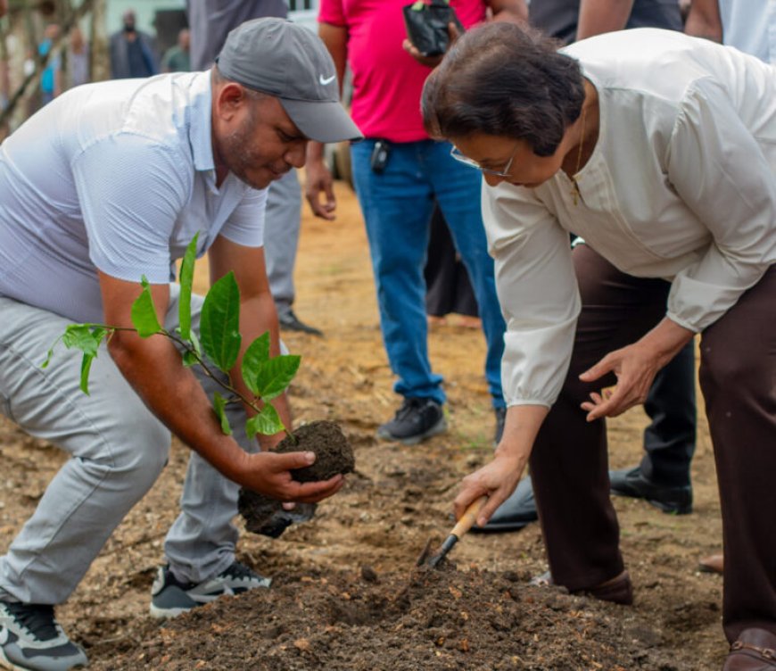 LVV lanceert Markoesa Outgrowers Project in Groningen