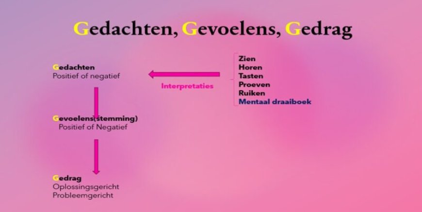 Ons wonderbaarlijk brein (14)