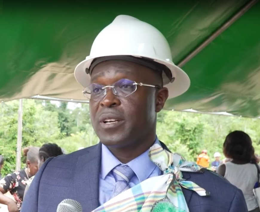 OP DE HELLING III: EEN LEEUW IN HET NAUW