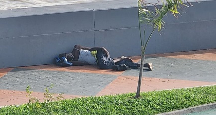 Regering pakt zwerversproblematiek aan