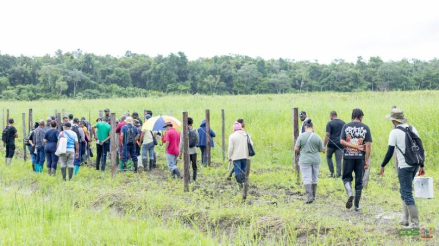 Markoesatelers krijgen praktijktraining in Saramacca na lancering Outgrowers-project