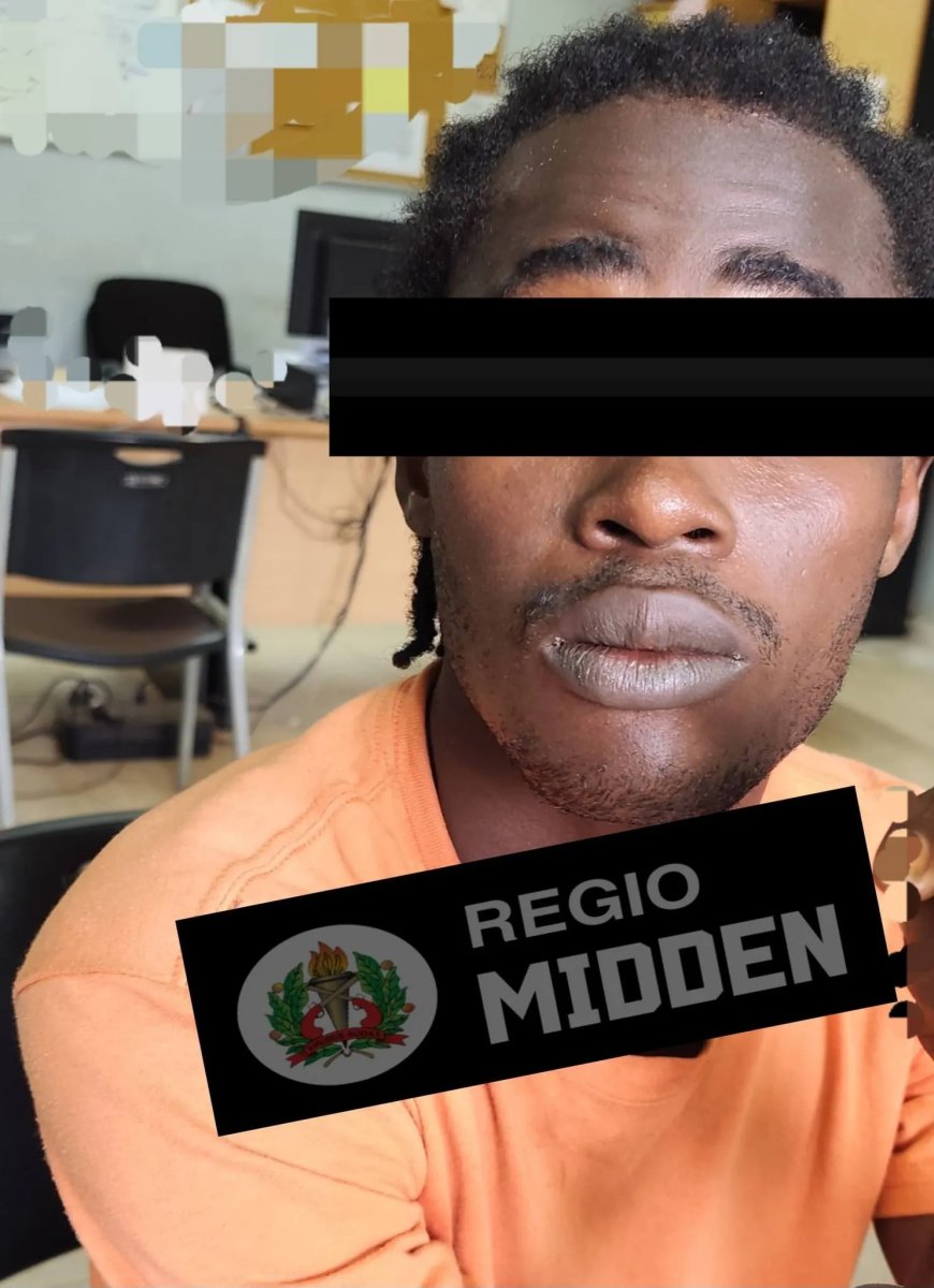 Man (24) opgepakt voor vernieling ruiten truck, drugsbezit en vuistvuurwapen