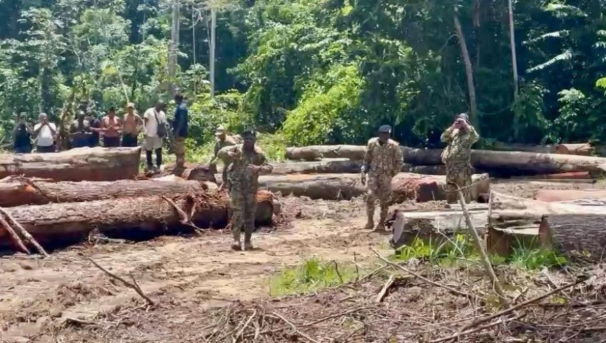 Grootschalige zoekactie naar twee vermiste jongemannen in Tibiti-gebied