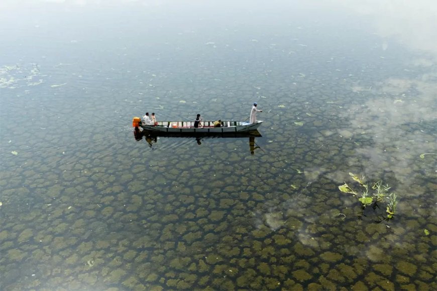 Regen brengt leven terug in de Irakese moerassen na jaren van droogte