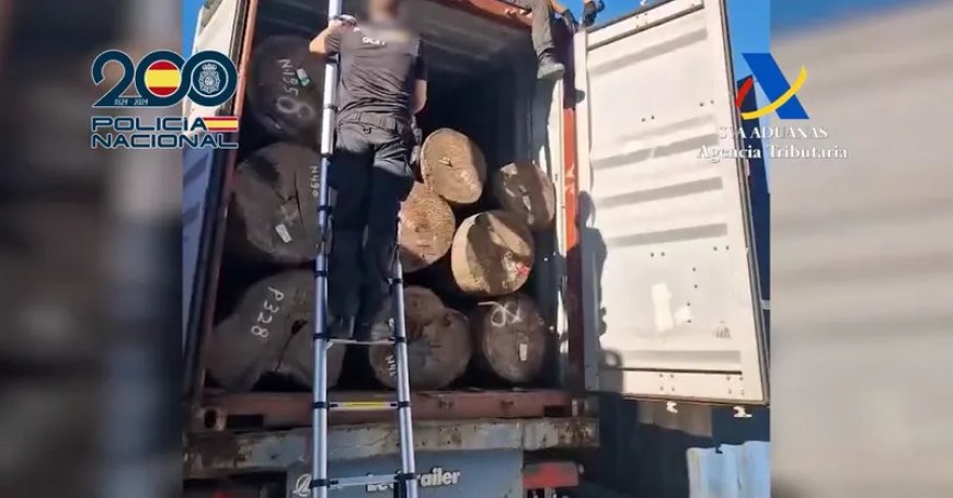 Spanje onderschept 120 kilo cocaïne uit Suriname in containers met houtblokken