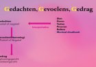 Ons wonderbaarlijk brein (15)