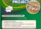 LVV lanceert kippenteeltproject: afzet ondernemers gegarandeerd