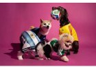 Honden in WK-stijl: Adidas lanceert voetbalshirts voor huisdieren