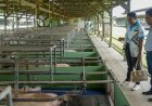 Suriname en Barbados willen agrarische samenwerking verdiepen