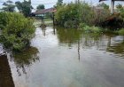 Aanhoudende regen zorgt voor wateroverlast in diverse gebieden