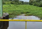 Geen zicht op oplossing voor ontwatering; landbouwers dreigen alles te verliezen