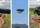 Opmerkelijk – Verlamde papegaai vliegt weer dankzij drone van Filipijnse eigenaar