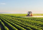 Regering zet in op modernisering landbouwsector