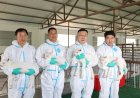 Opmerkelijk – China slaagt erin om in grote aantallen superproductieve melkgeiten te klonen