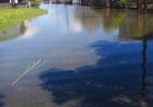 Pompen moeten wateroverlast beperken