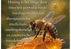 LVV vraagt aandacht voor bescherming van bijen