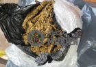Drie verdachten aangehouden met drugs tijdens controles in Brokopondo