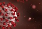 India stelt Afrika-top uit wegens angst voor Ebola-uitbraak